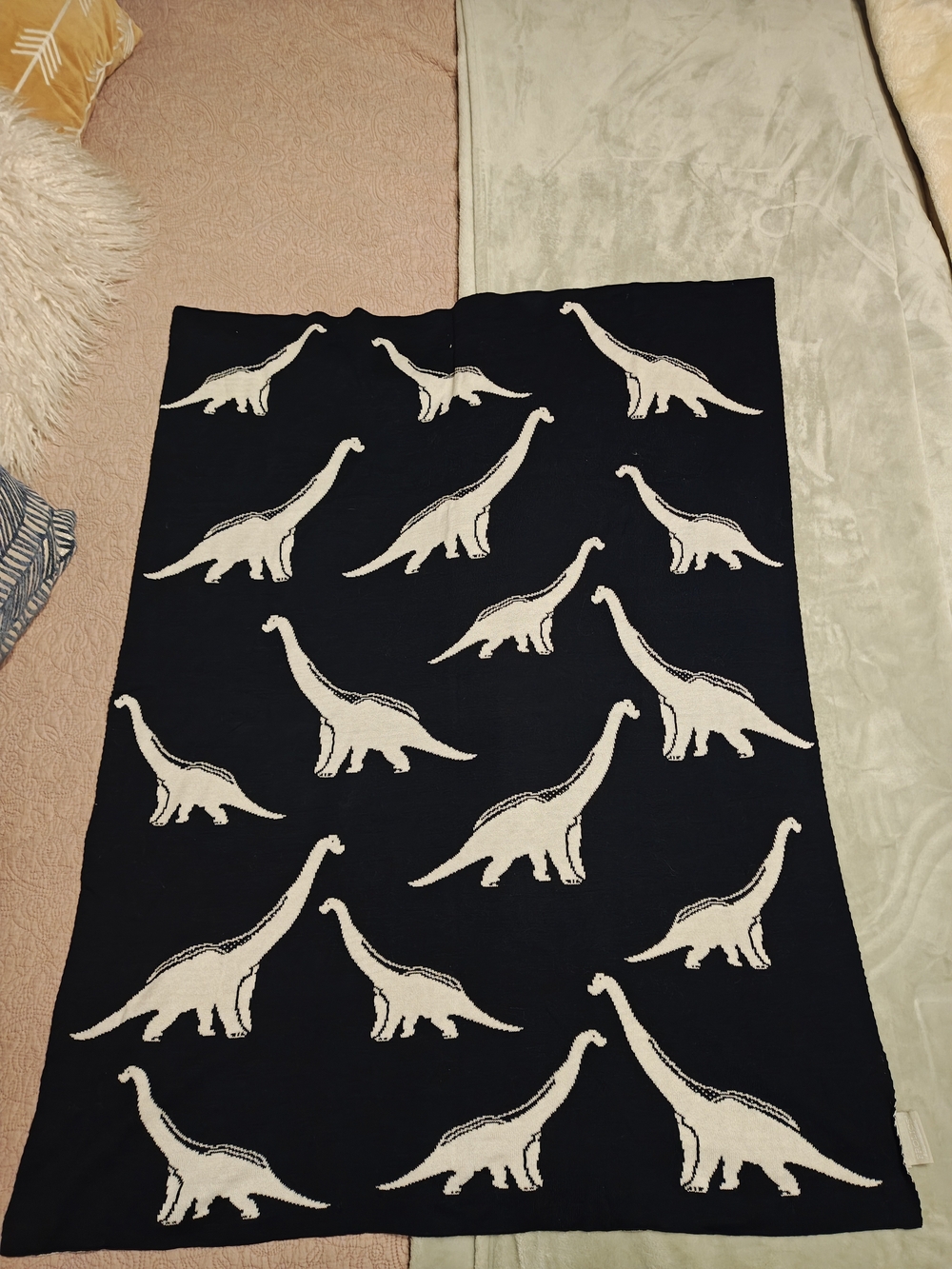 Kids Dinosaur Knit Throw Blanket - Black and Cream